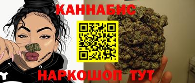 гидра Шали