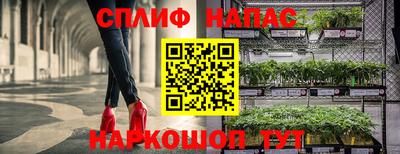 гидра Шали