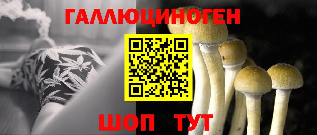 Галлюциногенные грибы ЛСД Гуково